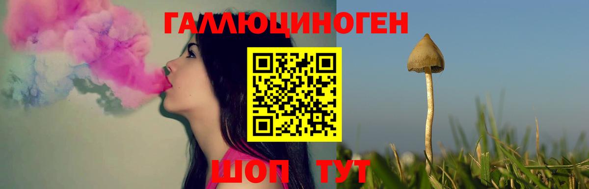 Прокопьевск  Галлюциногенные грибы мухоморы  Вход с VPN 