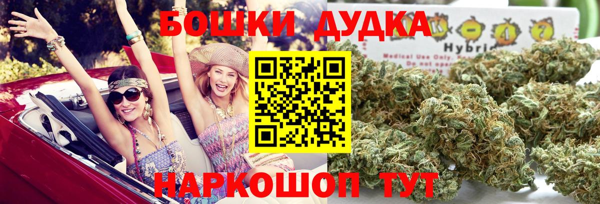 Канабис сатива Прокопьевск